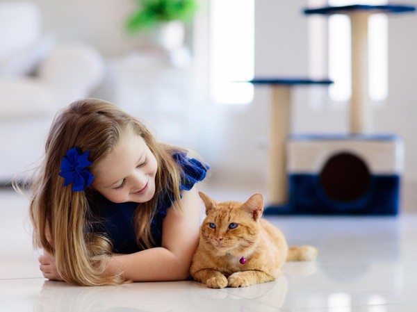 Ternyata Memelihara Kucing di Rumah Berpotensi Mengurangi Penyakit Jantung