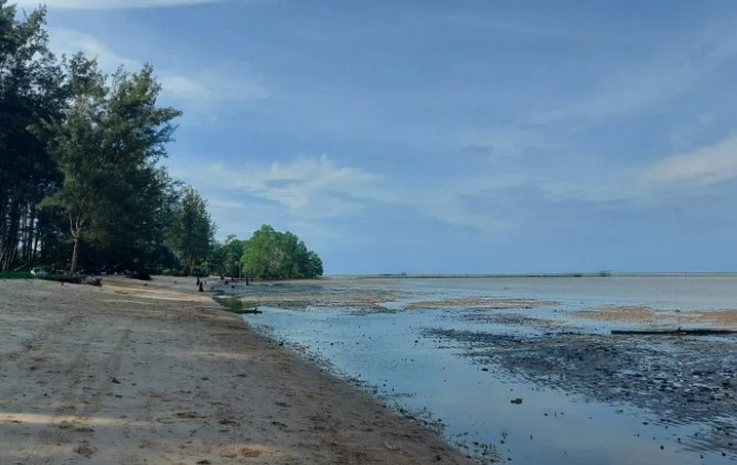 Pantai Tanah Merah Paling Subur Sumbang PAD Kukar dari Sektor Pariwisata