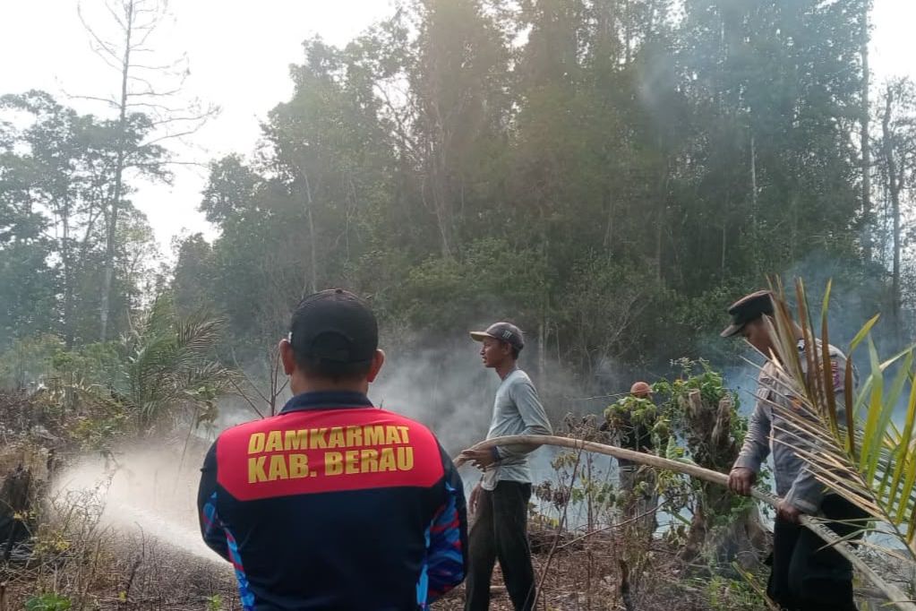 Api Belum Terkendali, Pemprov Kaltim Buka Opsi Status Karhutla Menjadi Bencana Nasional
