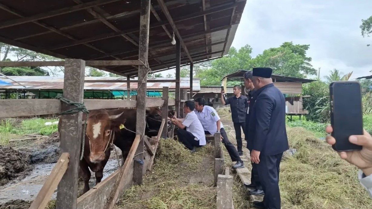 Baru Tersedia Satu RPU dan RPH Bersertifikat Halal di Berau, MUI Ungkap Kendala Pengembangannya