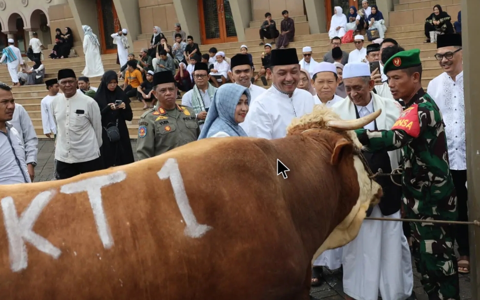 Pemprov Kaltim Bagikan 21 Sapi Kurban untuk Umat, Wagub Seno: Semoga Dirasakan Manfaatnya