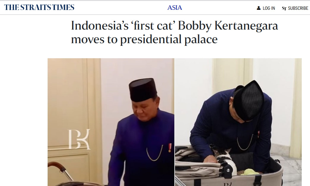 Bobby, Kucing Kesayangan Presiden Prabowo Jadi Sorotan Media Asing 