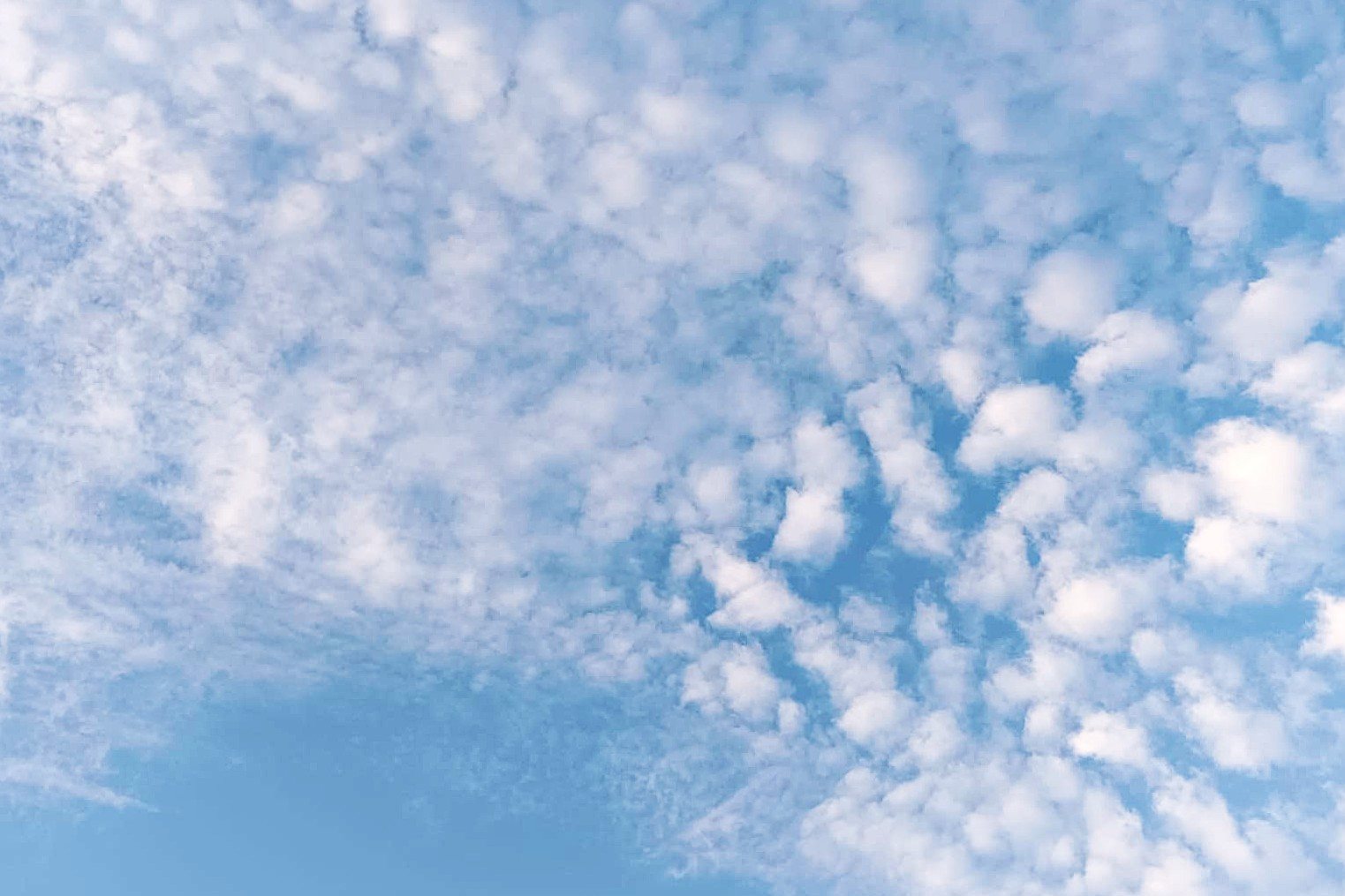 Ramalan Cuaca Kaltim dan IKN, 2 Oktober 2025, Cek di Sini!