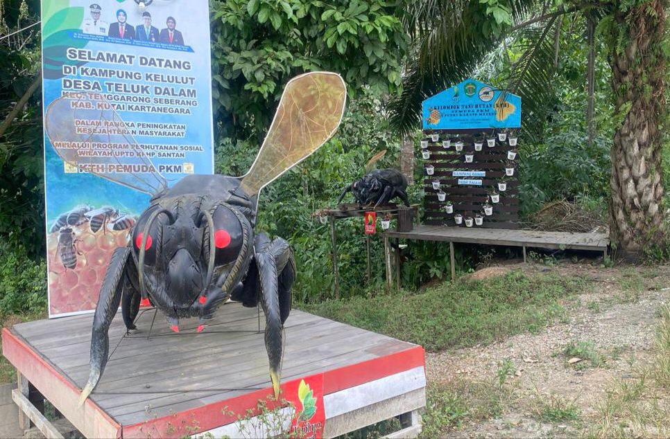 Produksi Madu Kelulut di Desa Teluk Dalam Sudah 200 Botol Per Bulan