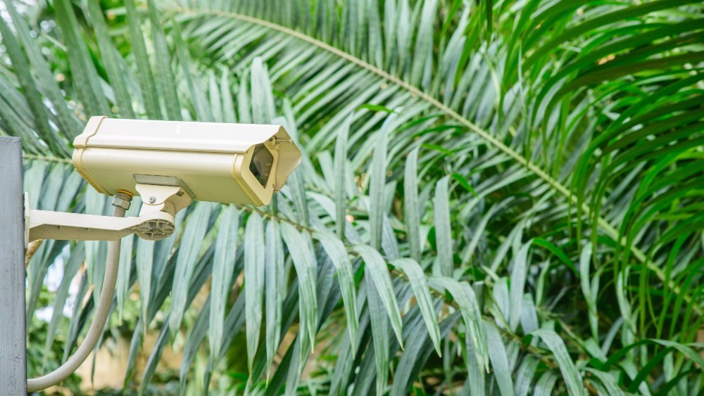 Cegah Perbuatan Mesum dan Perusakan Fasum, Mangrove Eco Park Bontang Dipantau CCTV