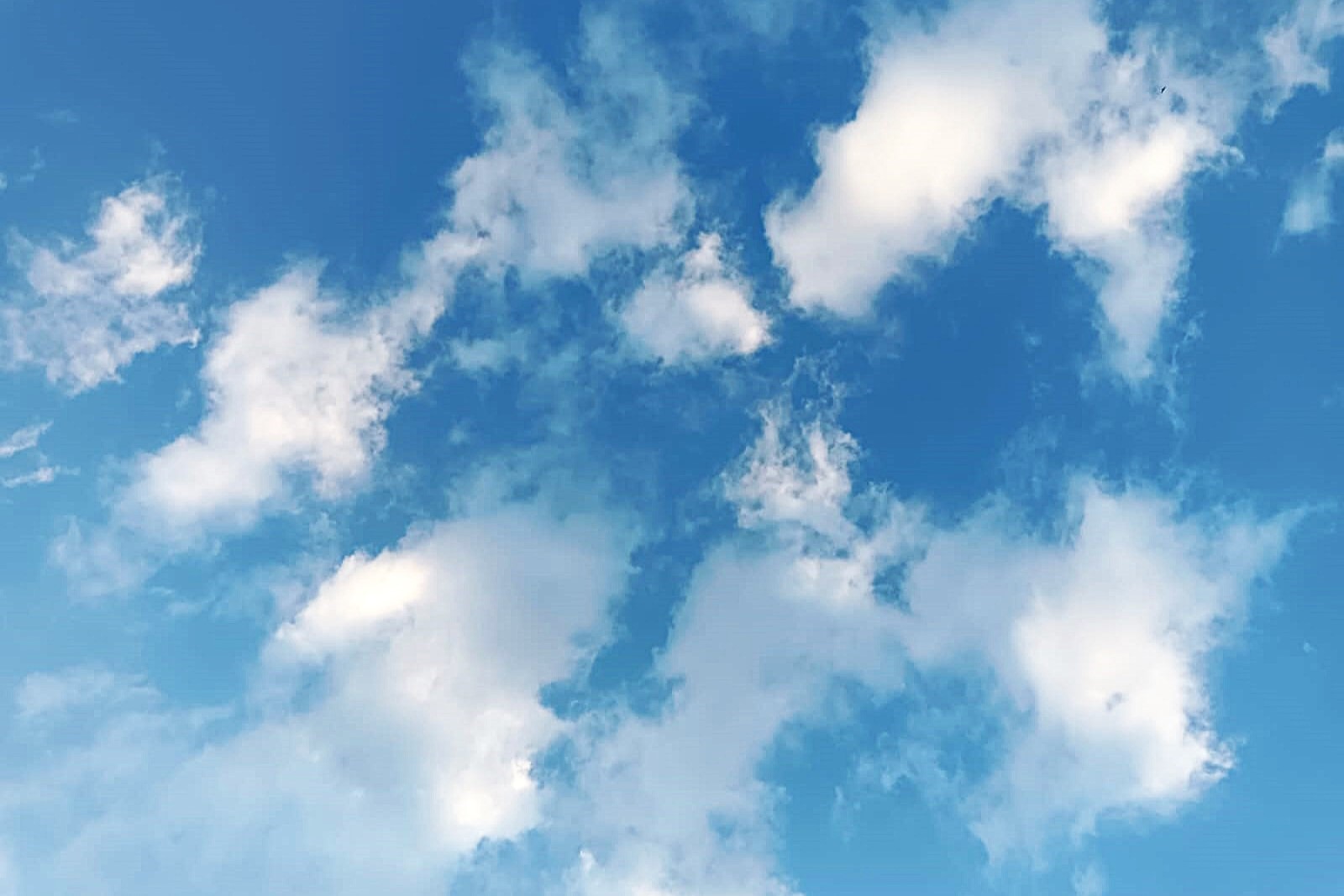 Ramalan Cuaca Kaltim dan IKN, 9 Desember 2025, Cek di Sini!