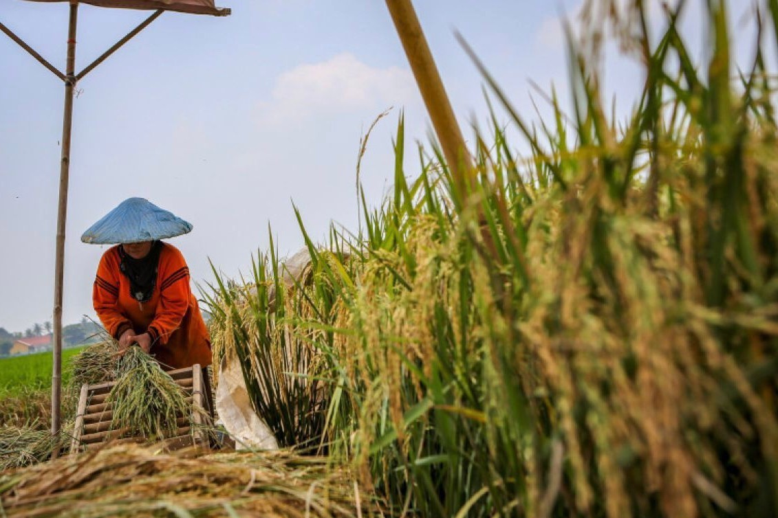 Penyaluran BBM Bersubsidi untuk Pertanian di Berau Wajib Lewat Kelompok Tani