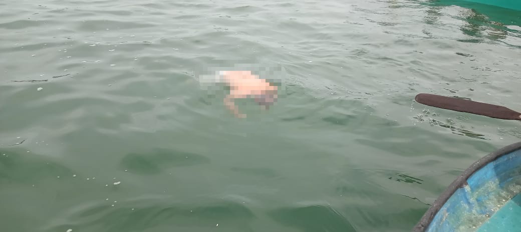 Diduga Keram Kaki, Mantan Camat Samarinda Ulu Ditemukan Meninggal Mengapung di Bontang Kuala