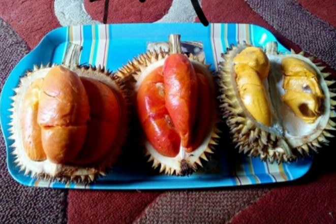 Ragam Buah Berduri Tanah Borneo Selain Durian