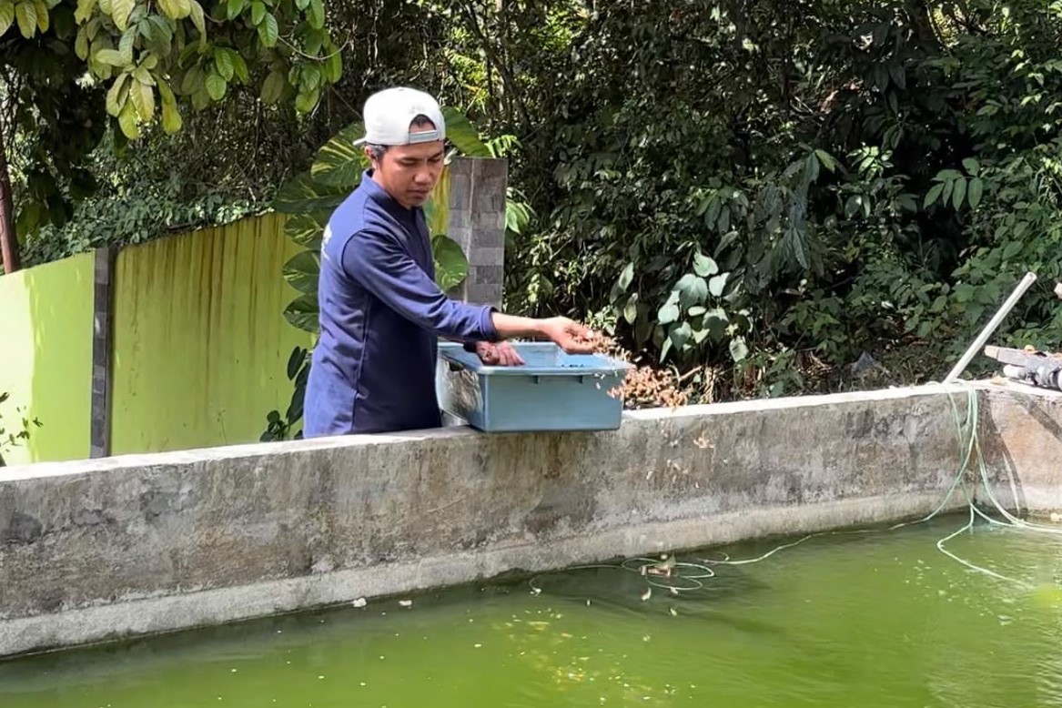 Sisa Menu MBG di Muara Jawa Dimanfaatkan untuk Budidaya Maggot