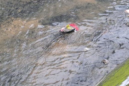 Orok Bayi dalam Kresek Merah Ditemukan di Sungai, Polresta Balikpapan Masih Lakukan Penyelidikan