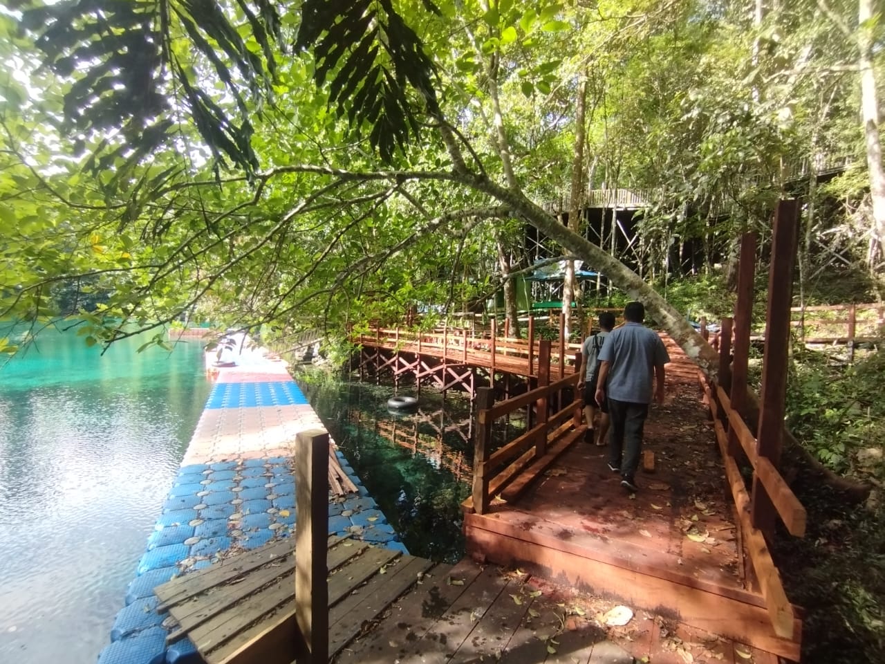 Labuan Cermin Masih Belum Aman untuk Dikunjungi, BKSDA Lakukan Sterilisasi Satwa Buaya