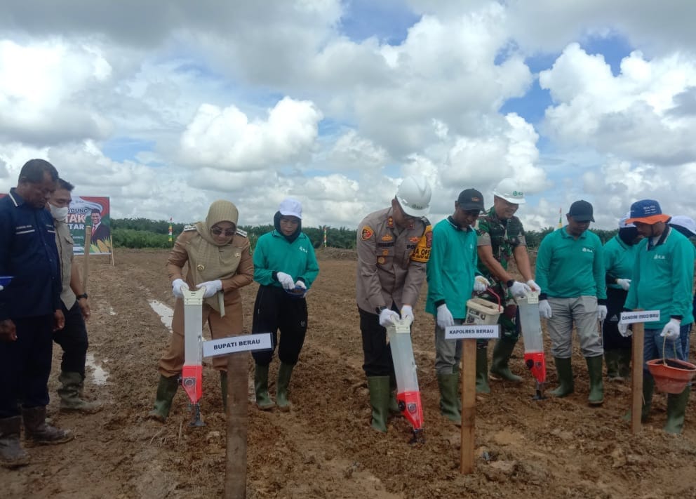 Kolaborasi Dukung Swasembada dan Perkuat Ketahanan Pangan Nasional