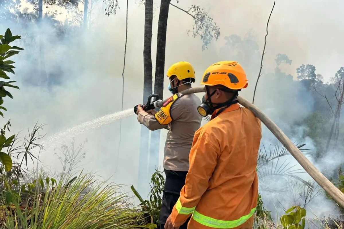 Polda Kaltim Proses 94 Kasus Karhutla, Kukar dan PPU Paling Banyak