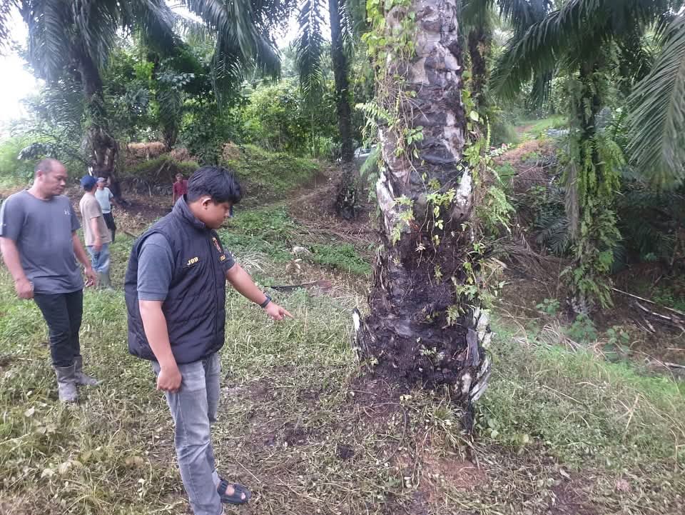 Dua Pria di Paser Nekat Curi Sapi Karena Kecanduan Narkoba