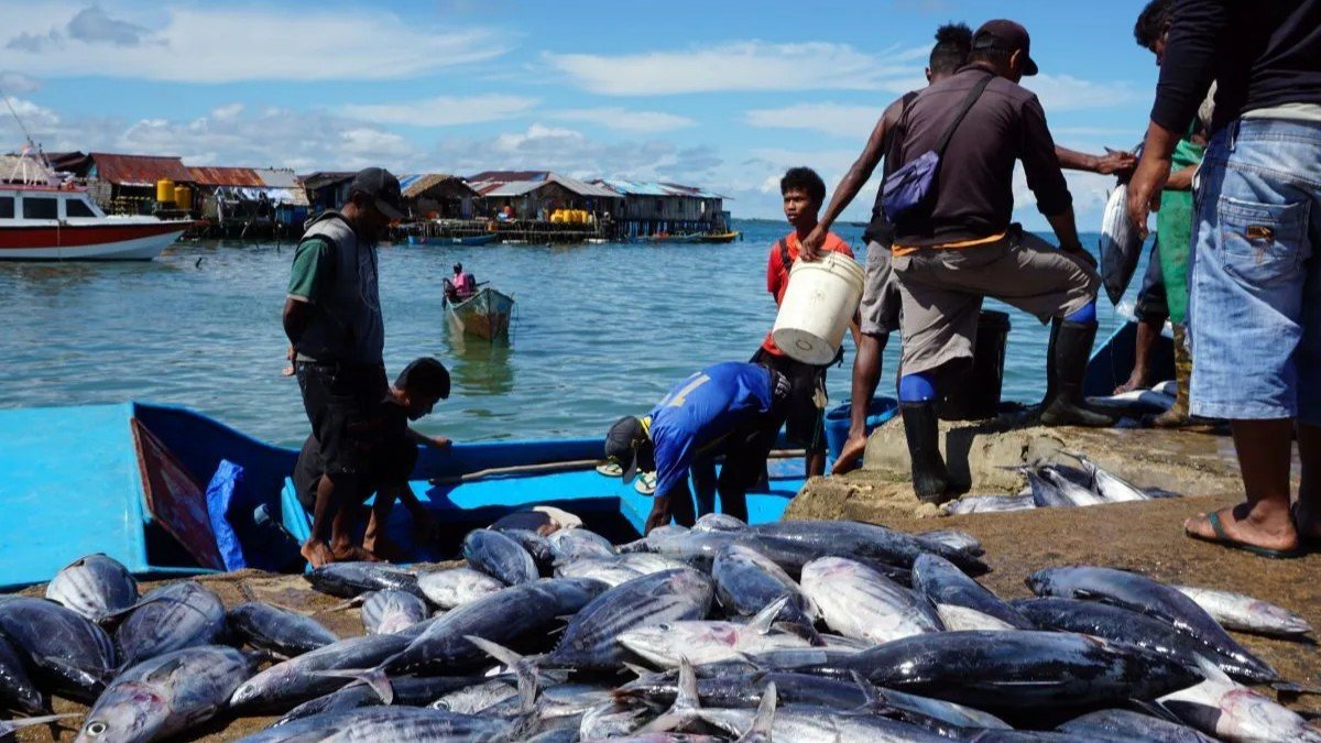 Rencana Pembangunan TPI di Paser Terfokus pada 2 Titik di Kawasan Perikanan