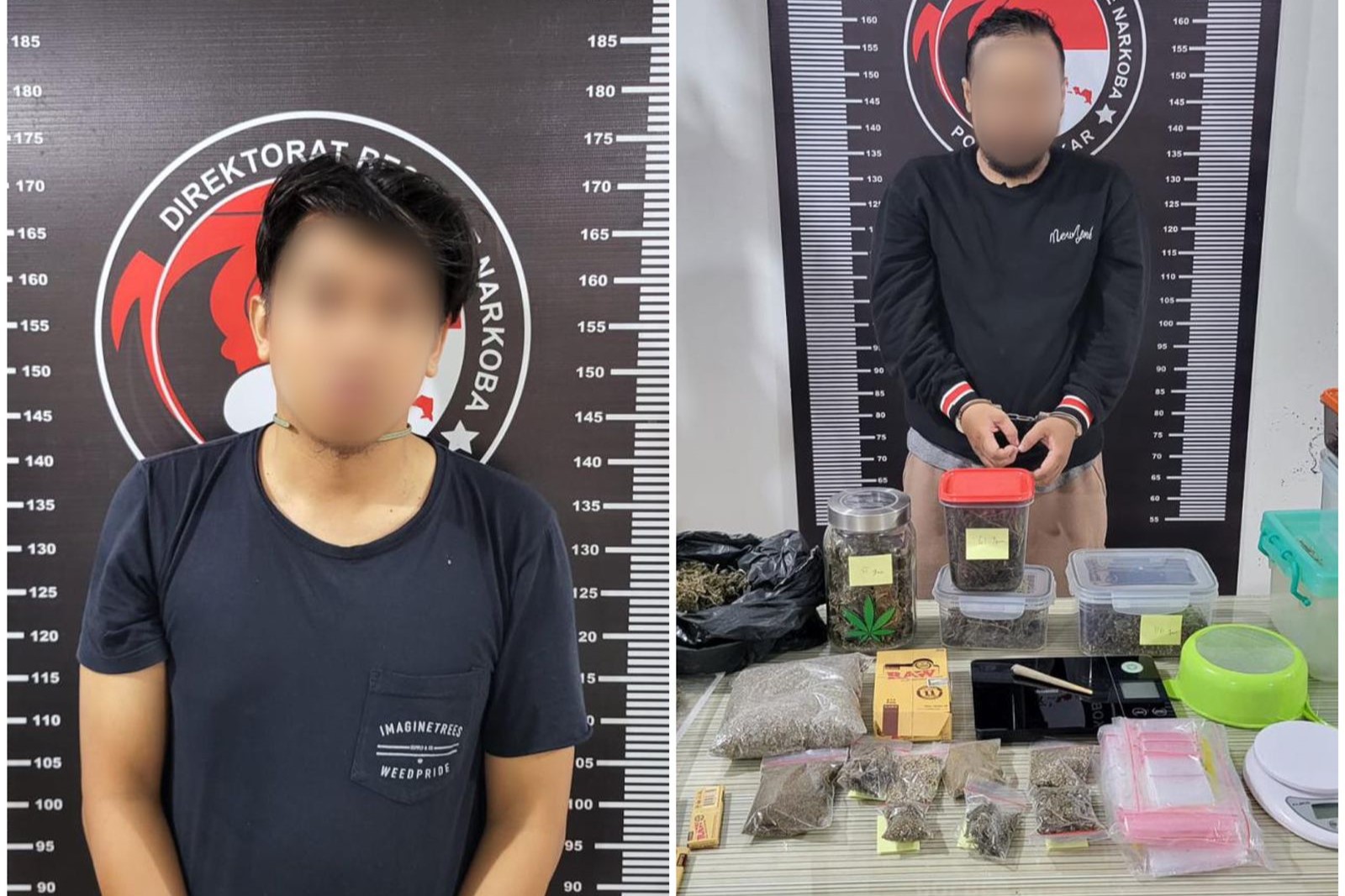 Ciduk Bandar di Tenggarong, Polisi Sita 1,3 Kilogram Ganja 