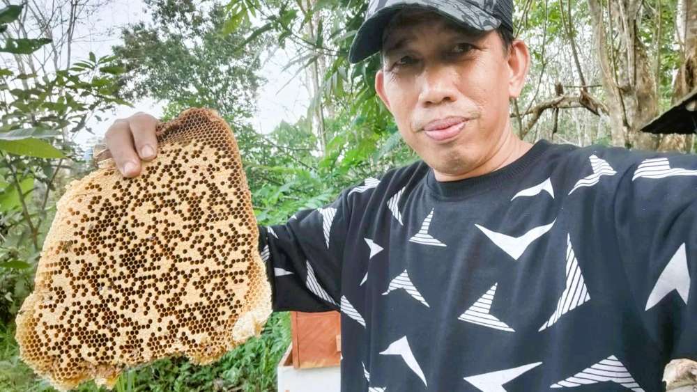 Manisnya Bisnis Madu di Balikpapan