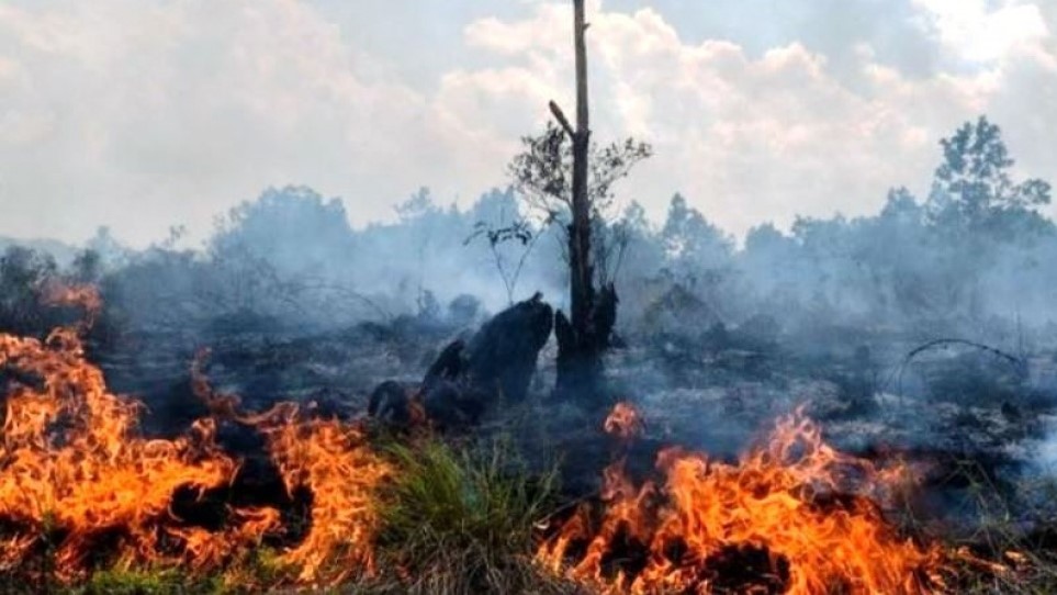 Waspada! Tiga Kecamatan di Mahulu Ini Rawan Karhutla