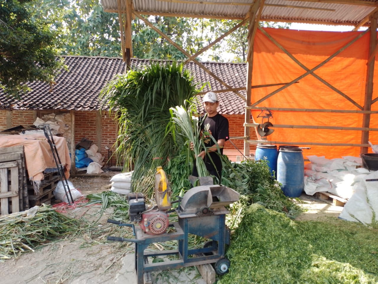 Kisah Pengusaha Pakan Ternak dari Ponorogo, Usaha Berkembang dengan Modal KUR BRI