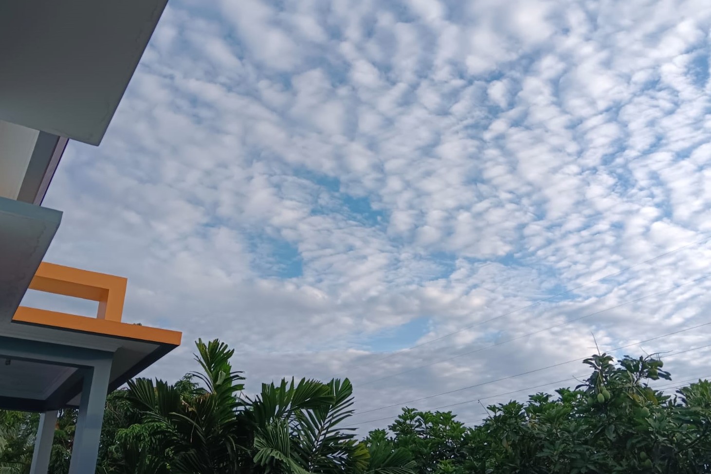 Ramalan Cuaca Kaltim, 4 Juni 2025, Cek di Sini!