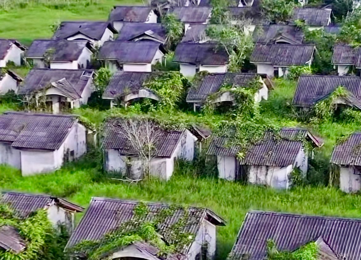 Proyek Perumahan PNS di Sangatta Terbengkalai, Rumput Menjalar Sampai ke Atap