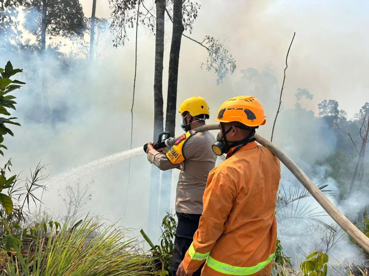 37 Kasus Karhutla Diproses di Kaltim, 12 Tersangka Dijerat Hukum 