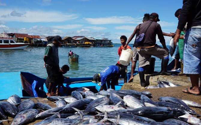 Produksi Ikan di Berau Meningkat 13 Ribu Ton 