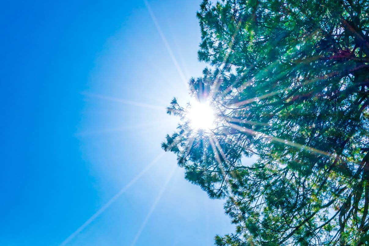 Ramalan Cuaca Kaltim dan IKN, 25 April 2026, Cek di Sini!