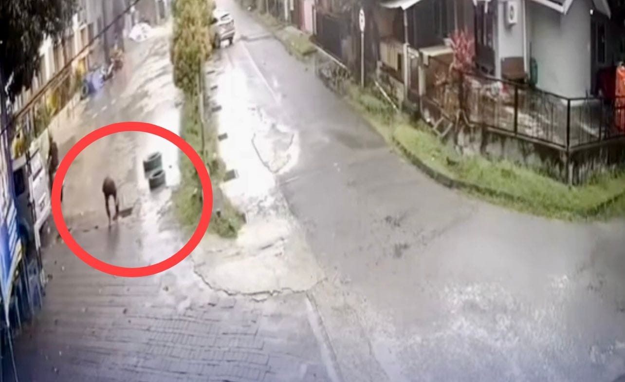 Marak Pencuri Besi Penutup Parit dan Panel Surya di Balikpapan, Polisi Selidiki Jejak CCTV