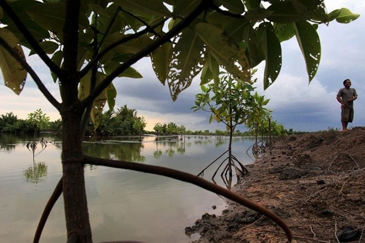 Tersedia 9.463 Hektare Tambak, Perikanan Budidaya di PPU Masih Hadapi Beragam Tantangan