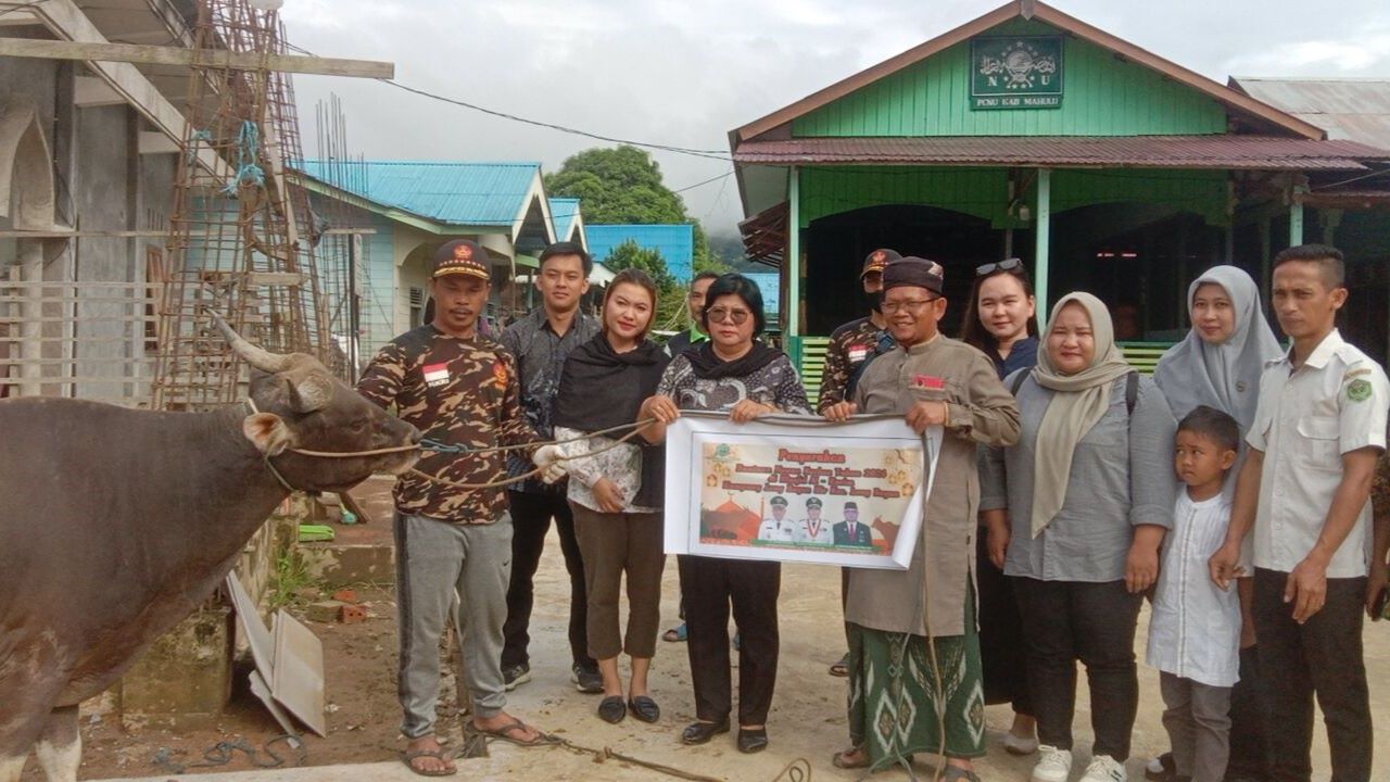 Pemkab Mahulu Salurkan Bantuan Hewan Kurban untuk Lima Kecamatan