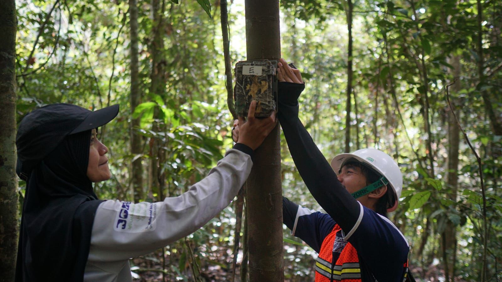 BRIN-YKAN Pasang Alat Bioakustik di Bentang Alam Wahea-Kelay