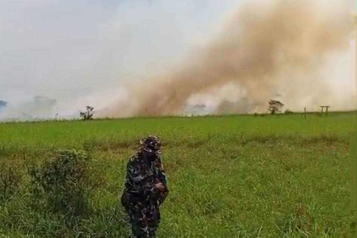 Disbun Kaltim Belum Temukan Kebun Sengaja Dibakar, Pengawasan Libatkan Banyak Pihak