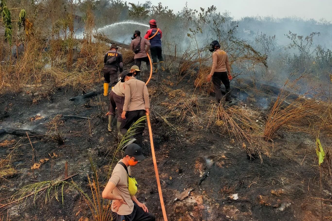 Disdamkarmat Berau Catat 225 Titik Karhutla Periode September