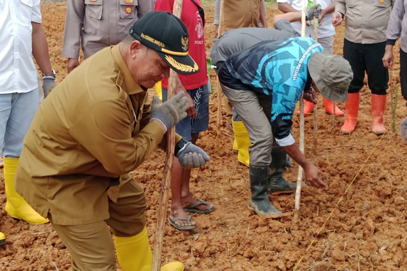 Mahulu Siap Jadi Sentra Jagung Kaltim, Perluasan Lahan Jadi Fokus Utama