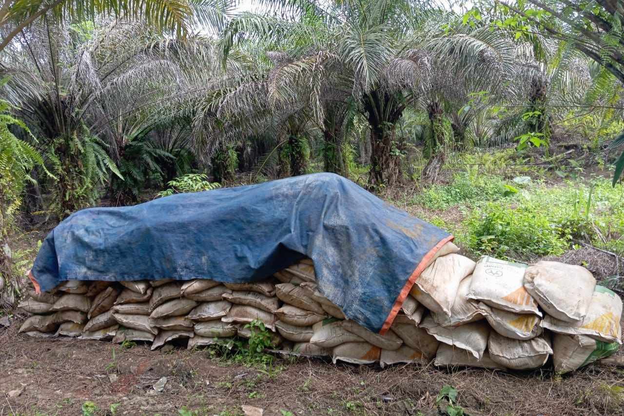 Gelapkan 6 Ton Pupuk,  2 Karyawan Perusahaan di Berau Ditangkap Polisi