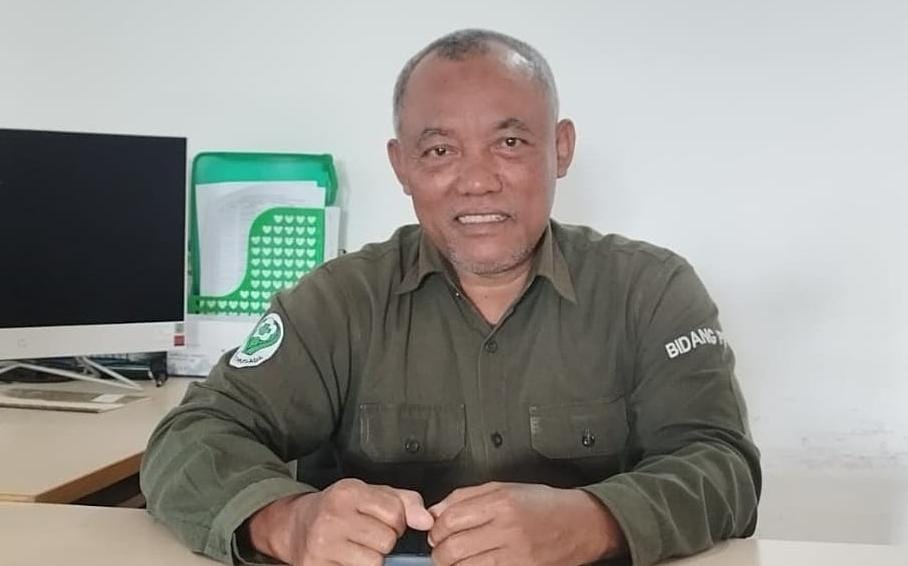 Disengat Ubur-Ubur Saat Berlibur di Pantai? Lakukan Hal Ini Segera!