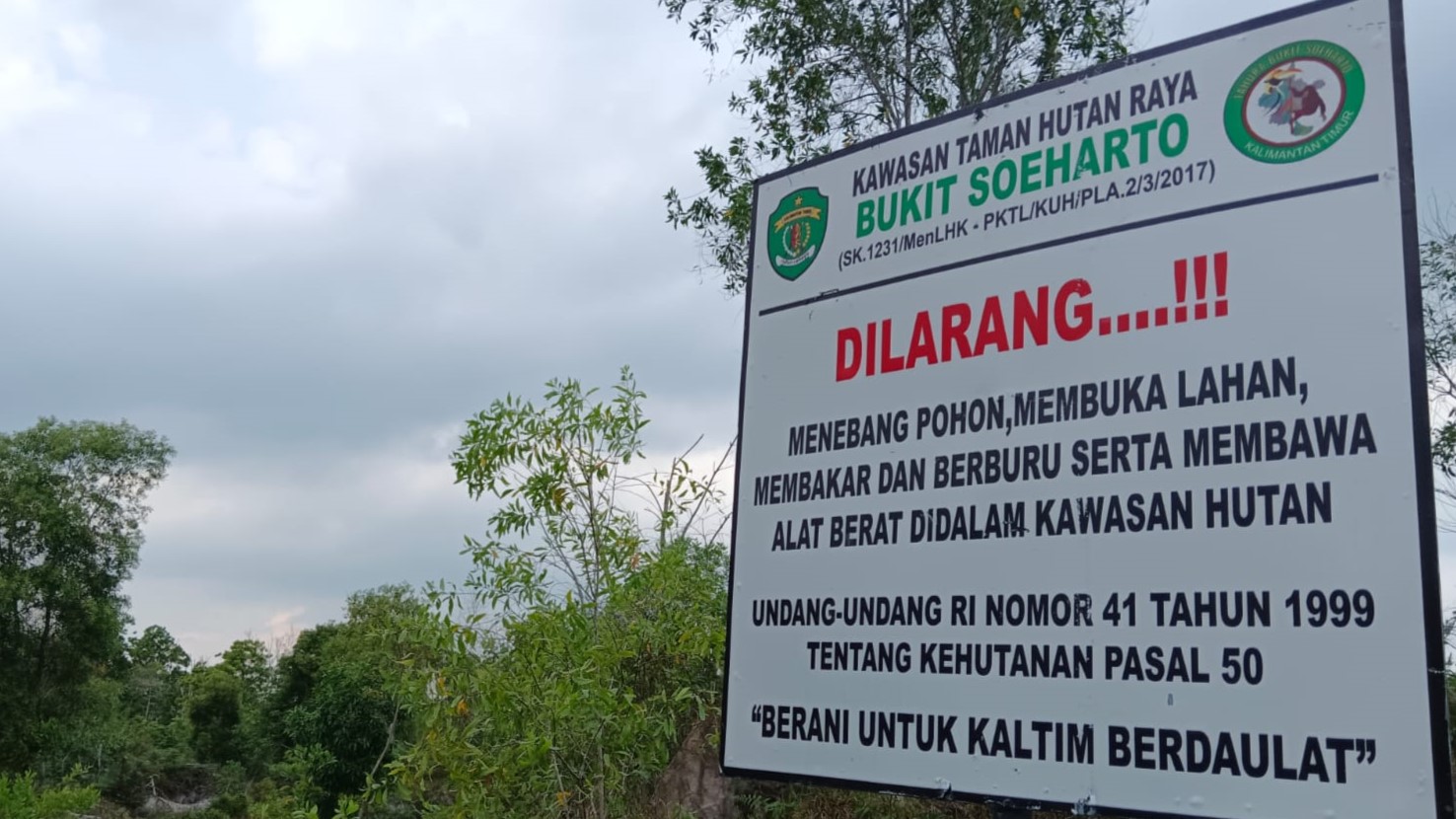 Karhutla Berulang hingga 1.511 Hektare, Kemenhut Sanksi 6 Perusahaan di Kalimantan