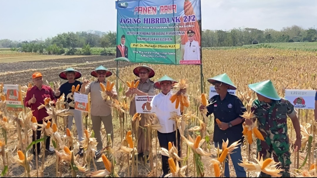 Menko PMK Tawarkan Nasi Jagung untuk Menu Program Makan Siang Gratis