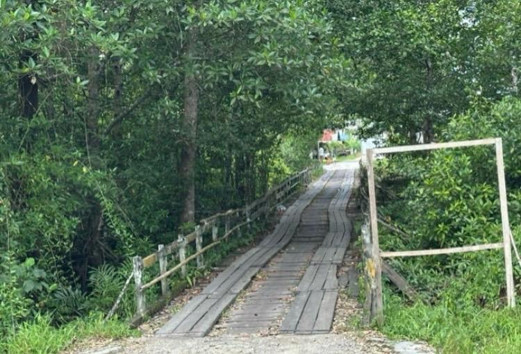 DPUTR Paser Bakal Tinjau Kondisi Jembatan Ulin Desa Pasir Mayang untuk Perbaikan