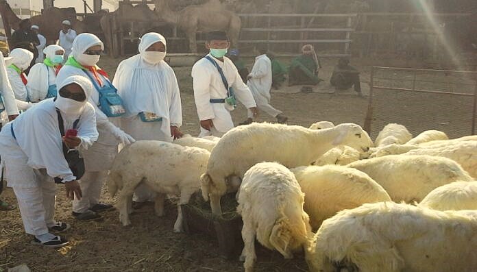 6 WNI Ditangkap Otoritas Arab Saudi, Gara-gara Tawarkan Dam Haji Ilegal