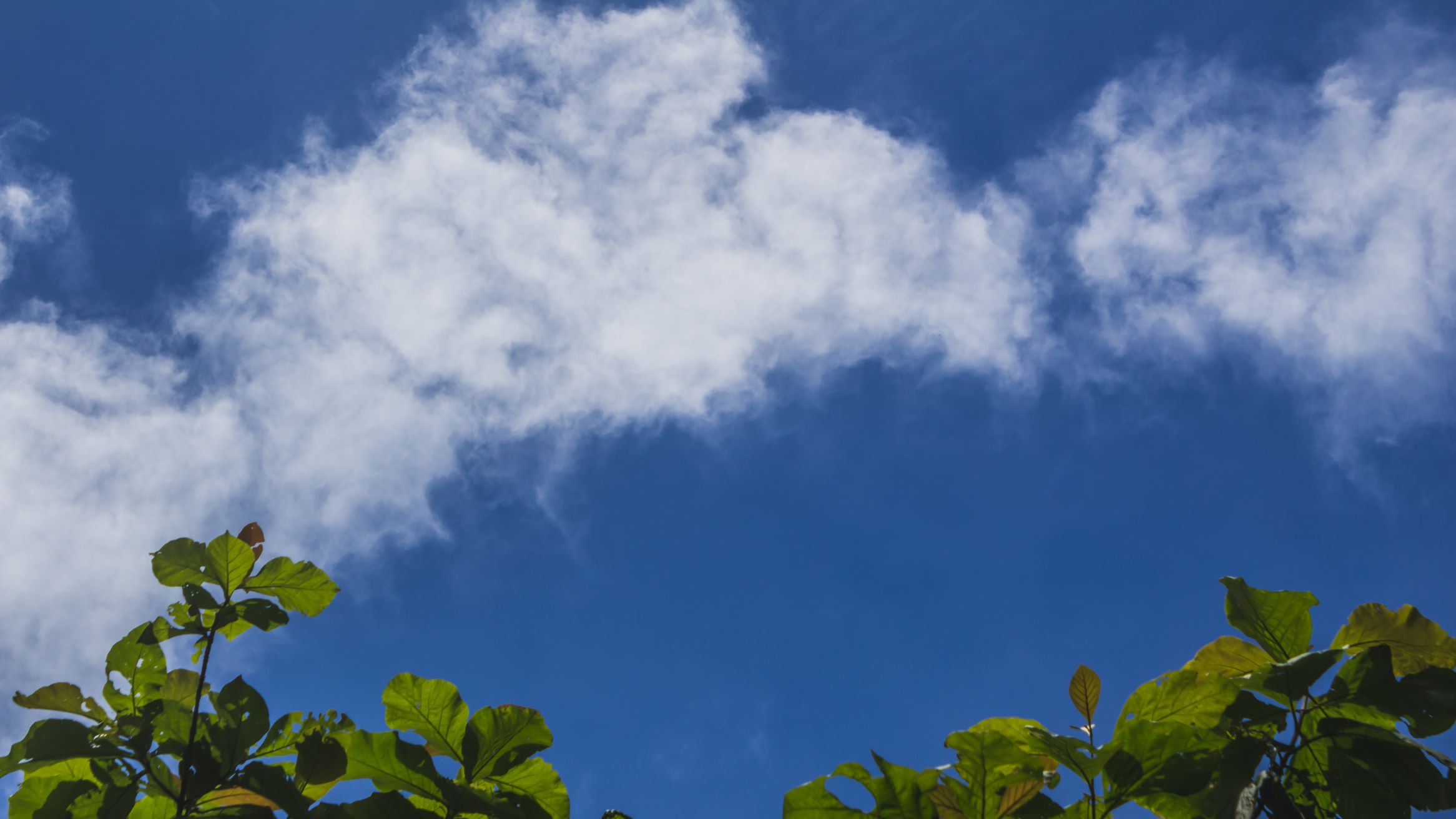 Ramalan Cuaca Kaltim dan IKN, 21 April 2026, Cek di Sini!