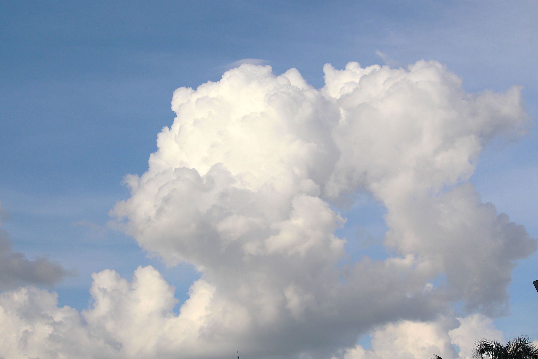 Ramalan Cuaca Kaltim, 3 Maret 2025, Cek di Sini!