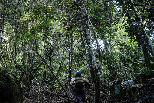 Perhutanan Sosial bukan Sekedar Bagi-bagi Lahan, Pakar Lingkungan: Perlu juga Pemberdayaan Masyarakat