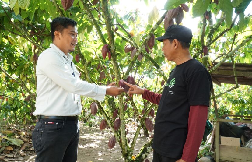 Jaga Asa Bangunkan Lahan Tidur, PT Berau Coal Aktif Berikan Pendampingan Petani Cokelat