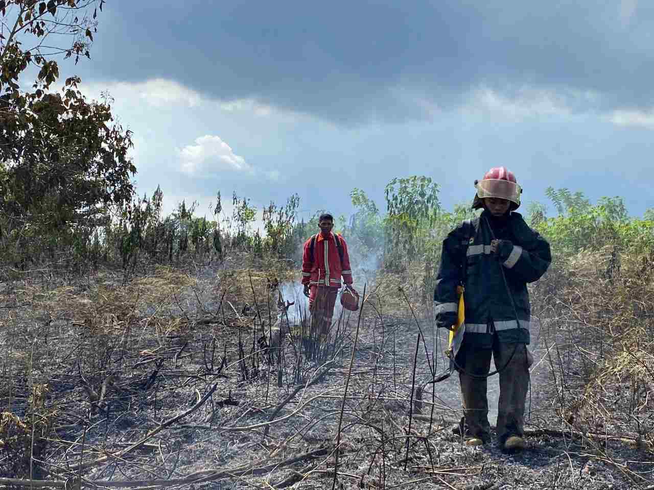 Terjadi Karhutla di Muara Badak, Penyebab Belum Diketahui