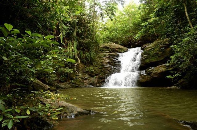 Jangan Anggap Remeh, Ternyata Wisata ke Alam Manfaatnya Segudang