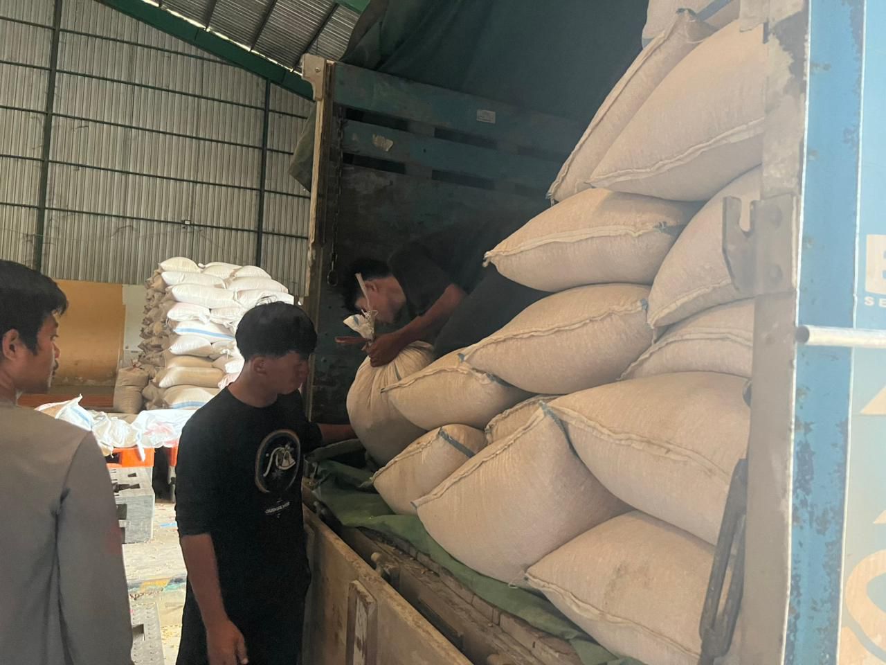 Muara Wahau Hasilkan 4 Ton Jagung Pipil, Siap Disalurkan ke Bulog Samarinda