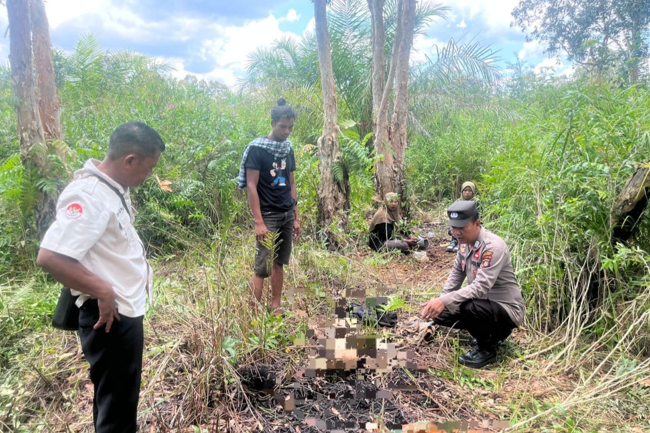 Penemuan Kerangka Manusia di Hutan Paser, Diduga Wanita yang Dilaporkan Hilang
